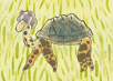 Spin en schildpad