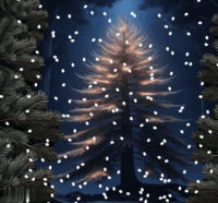 metsneeuw.gif
