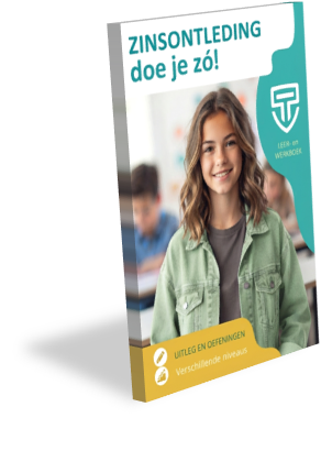 zinsontleding boek