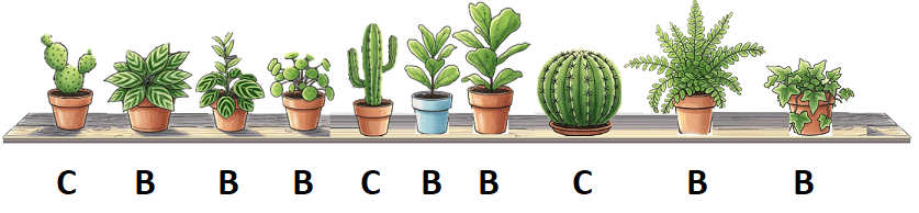 plantjes.png